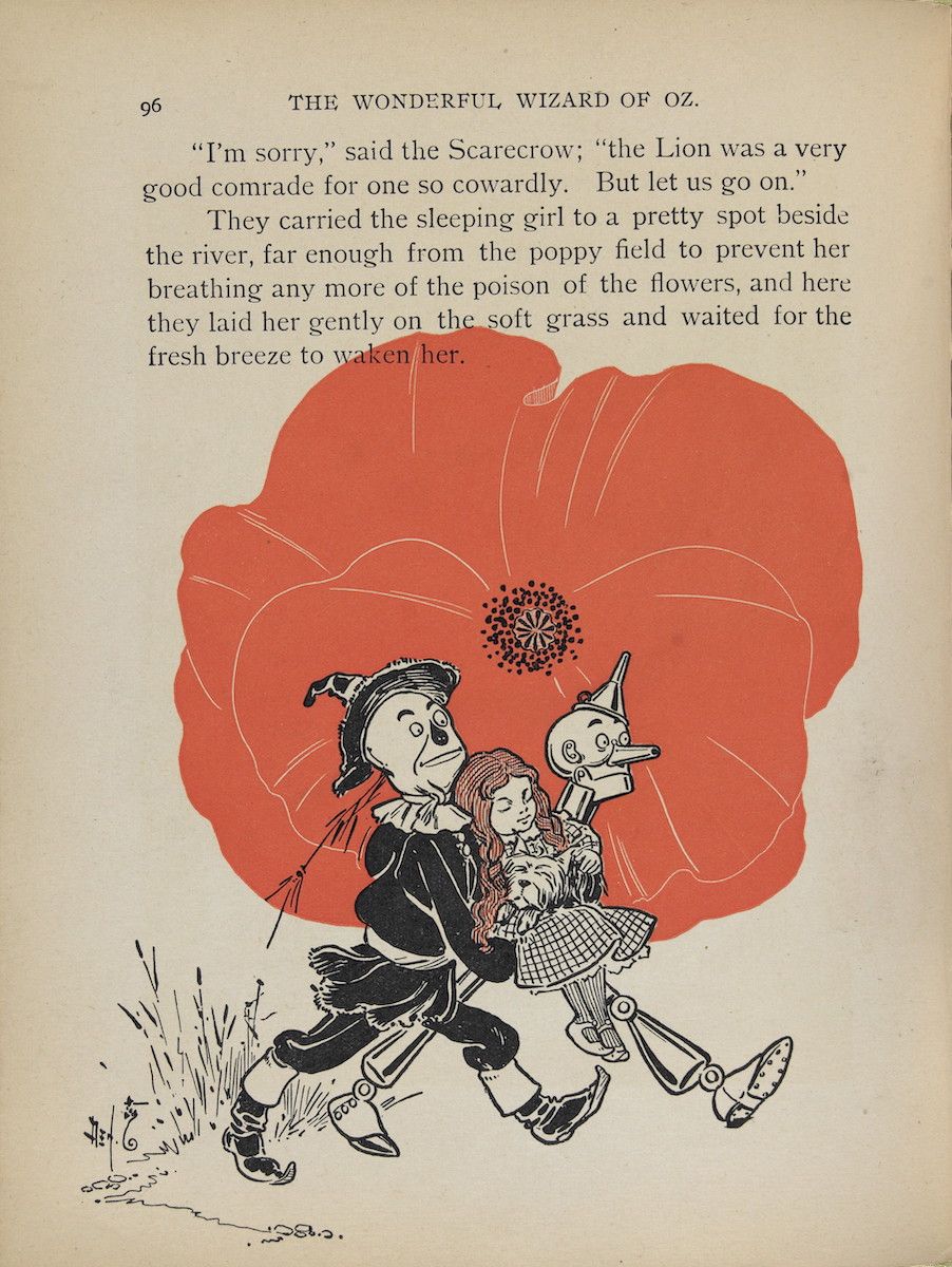 Vintage illustration from 'The Wonderful Wizard of Oz' showing Dorothy being carried by the Scarecrow and the Tin Woodman through a field of grass, with a large red poppy flower in the background.