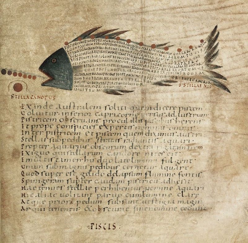 A page from an old manuscript with a detailed illustration of a fish and surrounding Latin text.