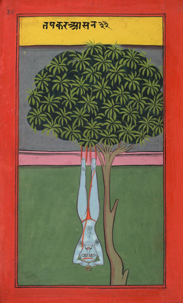 Traditional Indian painting of a person in a yoga pose hanging upside down from a tree.