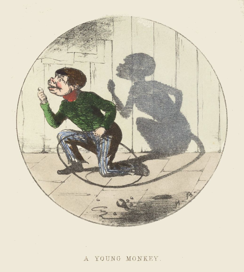 A vintage illustration of a boy crouching and mimicking a monkey, with a shadow of a monkey cast on the wall behind him. The text 'A YOUNG MONKEY' is printed below the image.