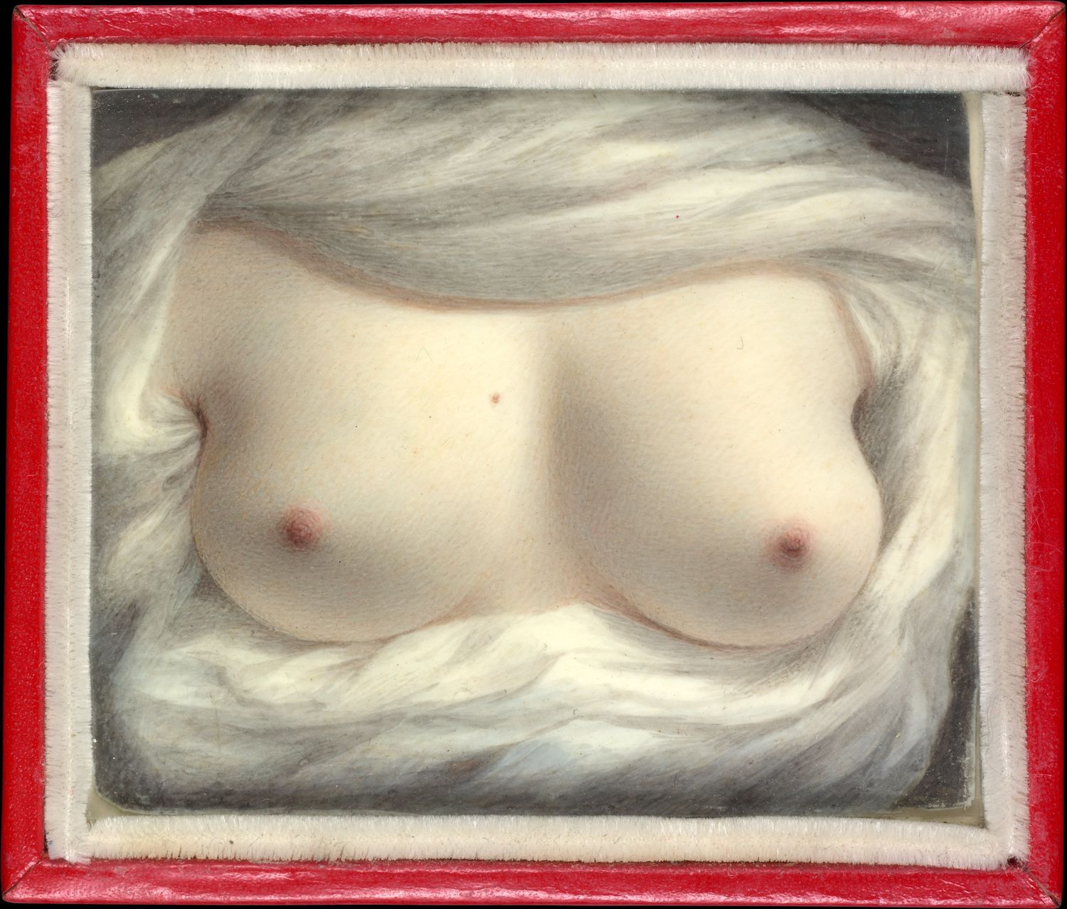Close-up of breasts covered in white fur, framed by a red border.