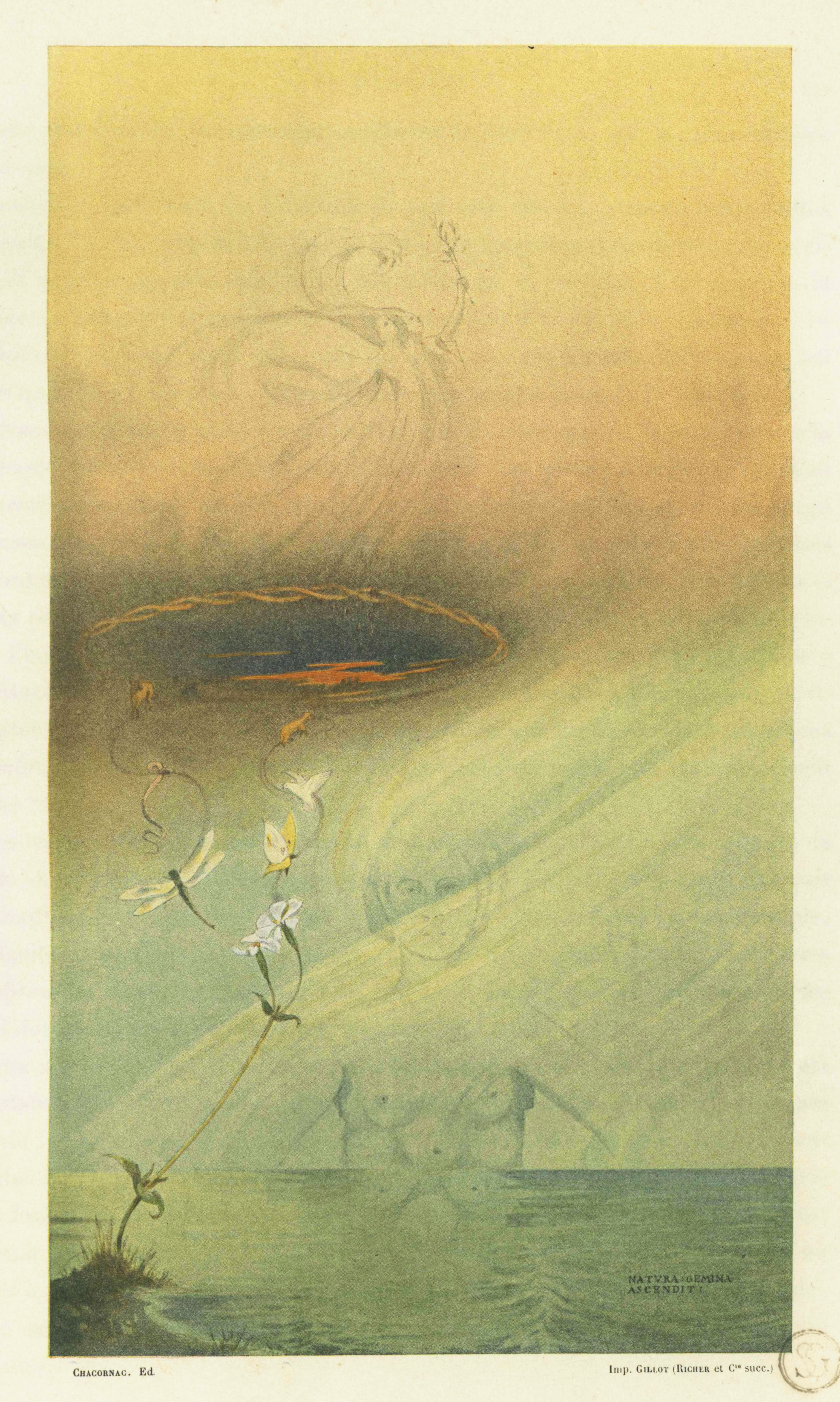 Vintage botanical illustration of a serene aquatic scene with insects, plants, and a soft, hazy sky.