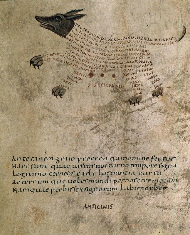 A page from a medieval manuscript with Latin text and illustrations of birds and dragon-like creatures.