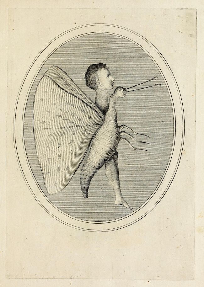 Vintage illustration of a child-headed insect creature within an oval frame.
