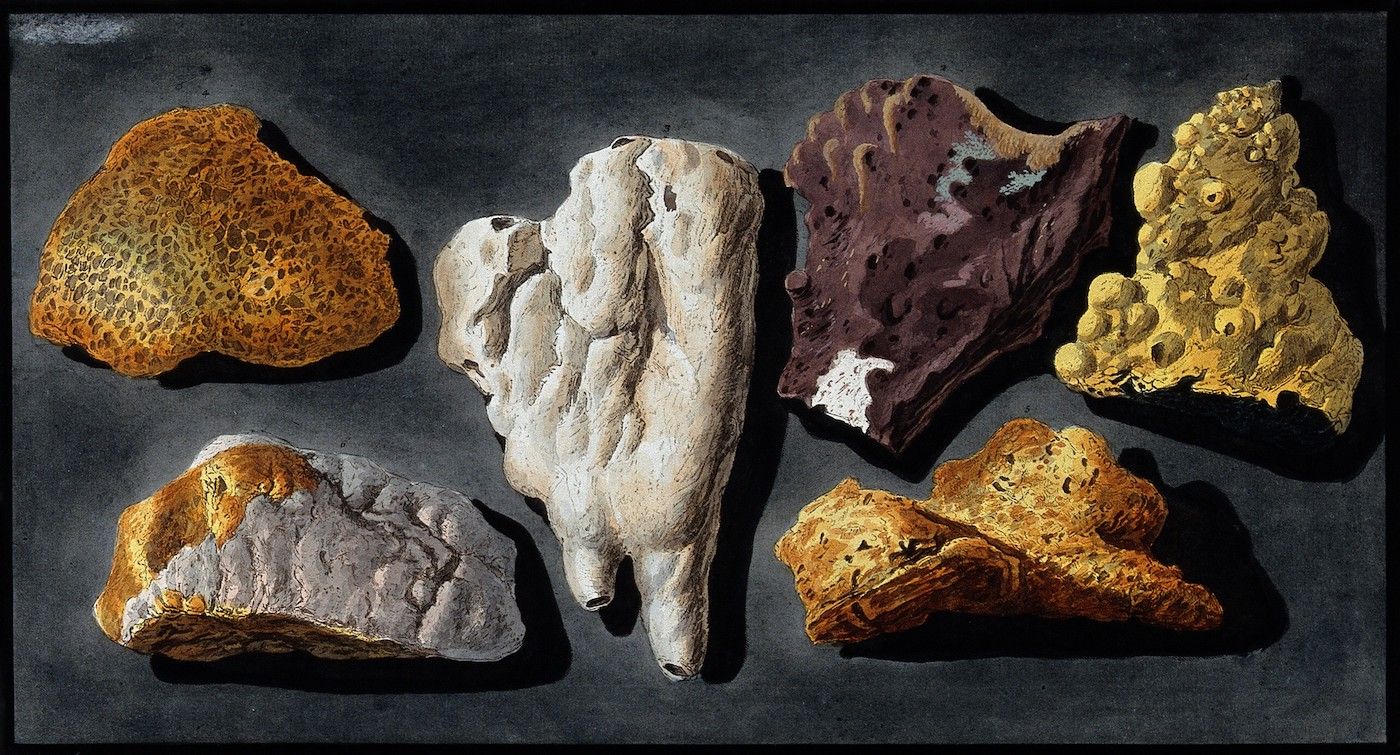 A collection of six irregularly shaped rocks or mineral specimens arranged on a dark, textured surface.