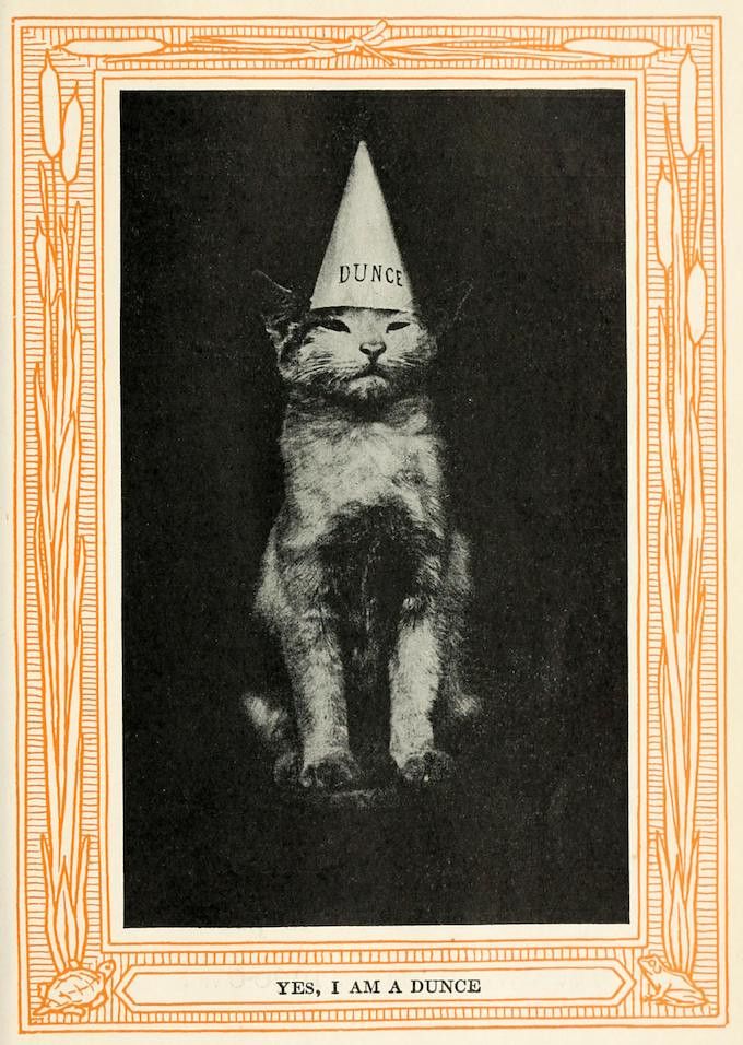 A black and white photograph of a cat wearing a dunce cap with the word 'Dunce' written on it. The cat is seated and looking at the viewer with a smug expression. The image is framed by an ornate orange border, and the text 'YES, I AM A DUNCE' is printed below.