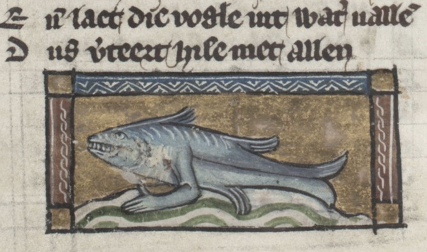 A medieval manuscript illumination depicting a light blue fish 'walking' on a wavy green surface, framed by a gold, red, and blue border. Above the fish is a line of dark, gothic script.