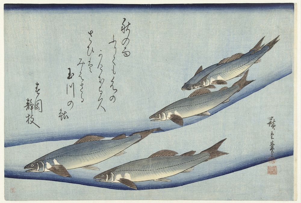Vintage Japanese woodblock print of a school of fish swimming in blue water with calligraphy and a red seal.