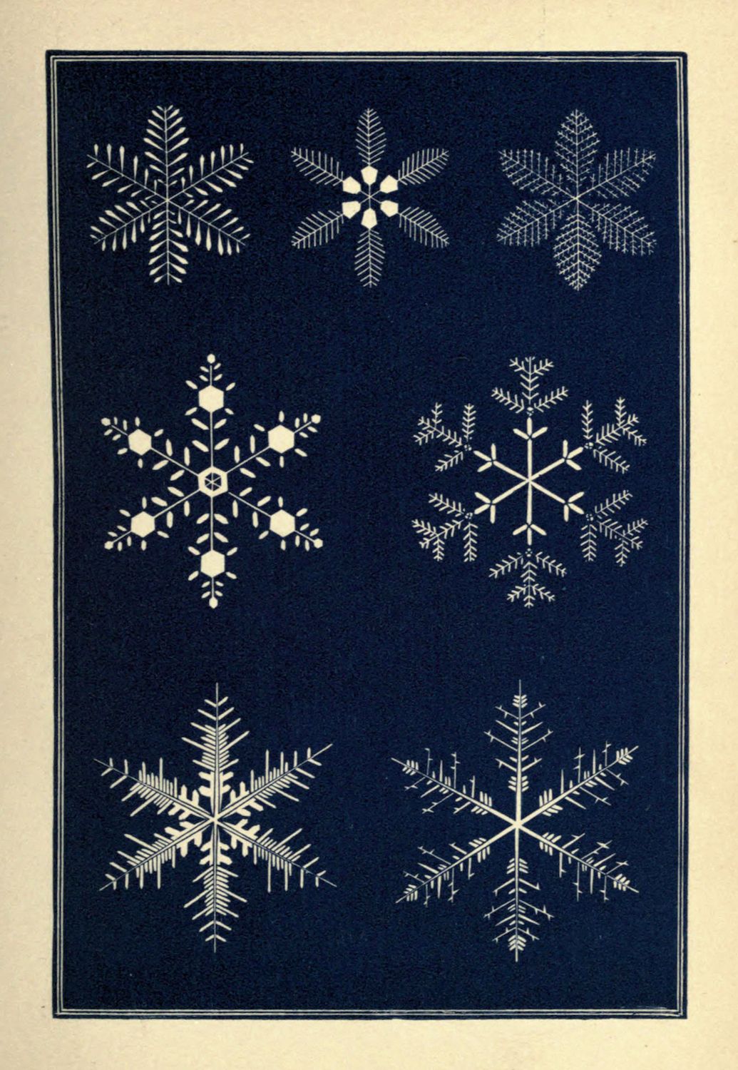 Vintage illustration of six intricately designed snowflakes against a dark background.
