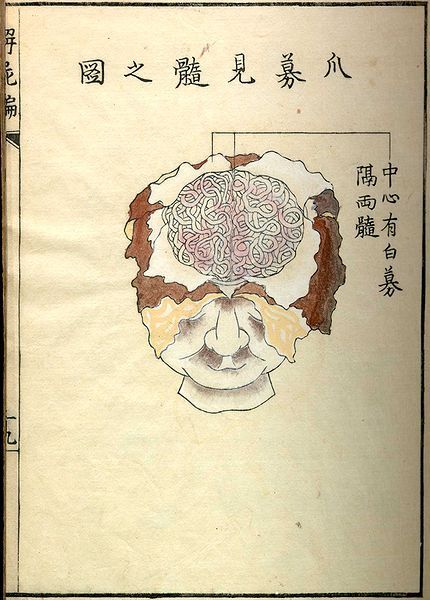 Vintage illustration of a human head with a detailed brain inside, surrounded by swirling lines and East Asian text.