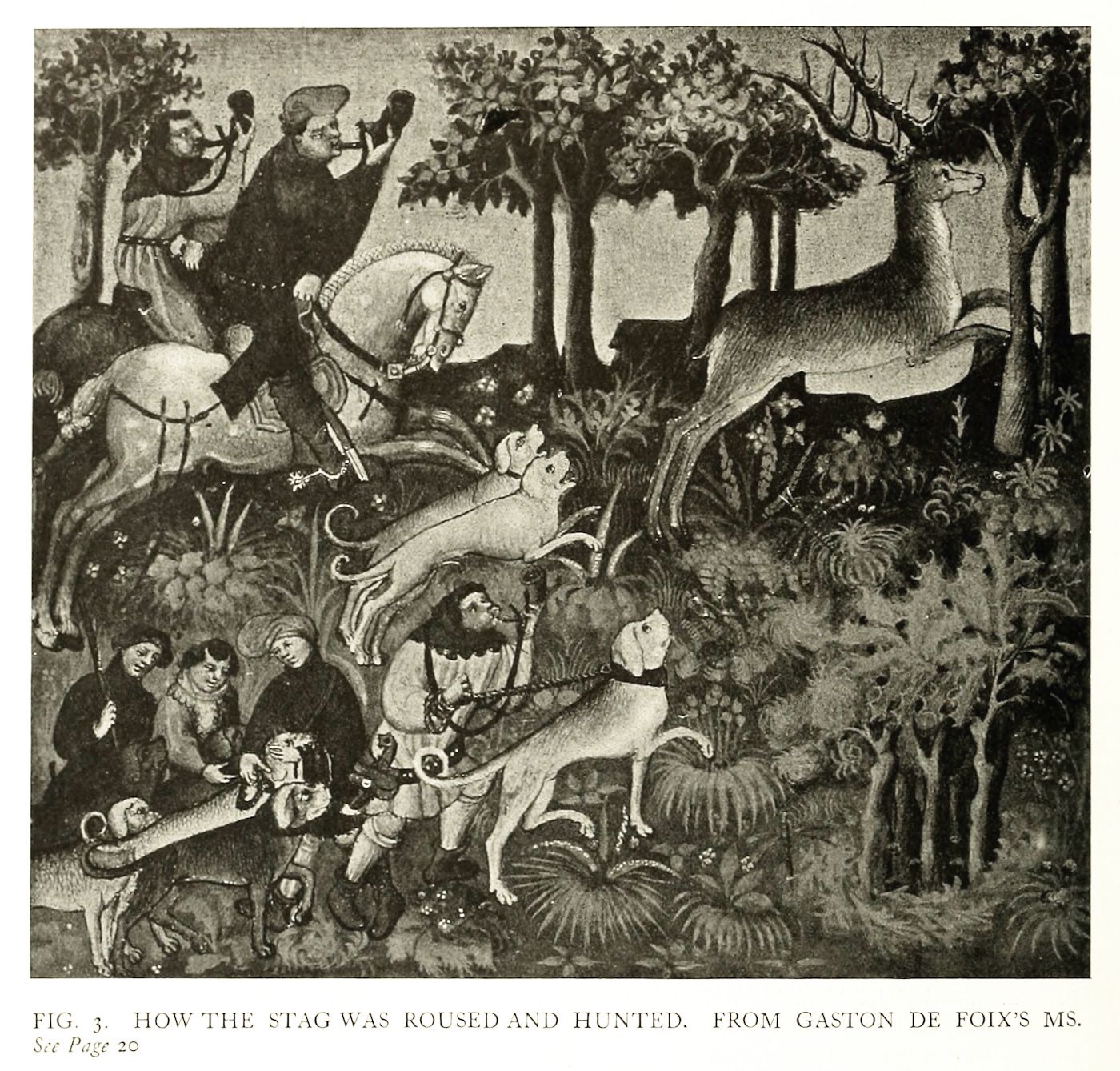 Vintage illustration of a stag hunt in a forest, with hunters on horseback and on foot pursuing a stag with a pack of dogs.