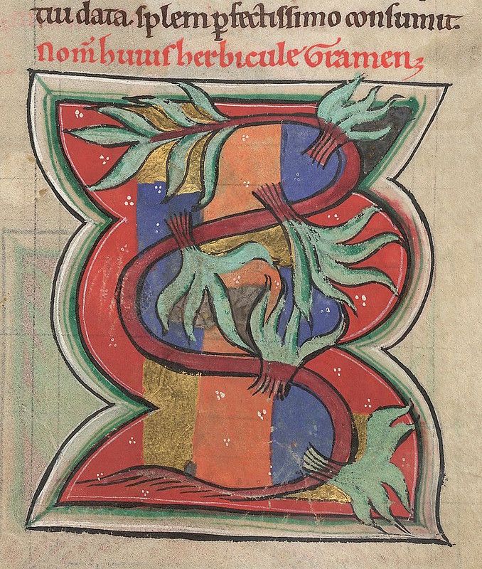 A medieval manuscript illumination featuring a stylized plant with elongated green leaves and a winding red stem, set against a background of red and blue rectangles adorned with gold dots.