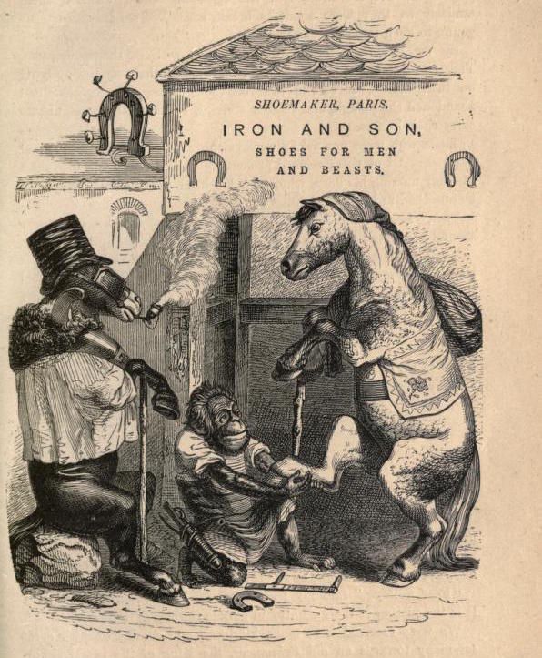 A vintage black and white illustration of a shoemaker's shop in Paris, where a man and two monkeys are fitting shoes on a horse.