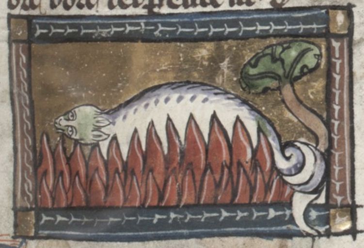 Medieval manuscript illustration of a fish lying on a bed of red spikes.
