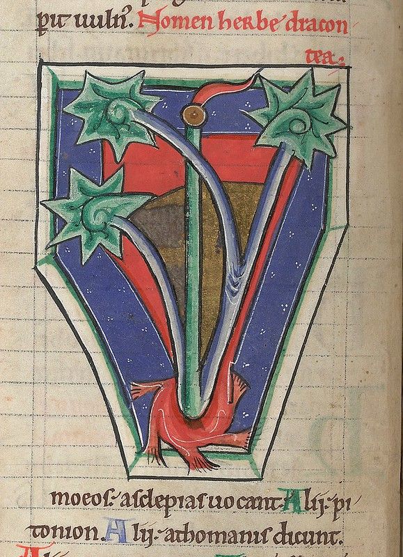 Illuminated letter V from a medieval manuscript