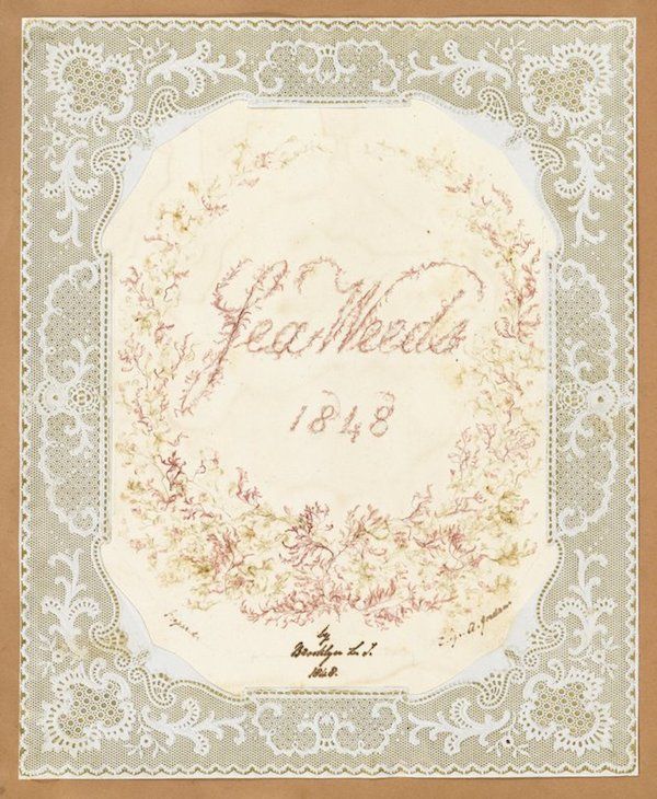 A vintage card with a lace border and the name "Jean Merete" and the year "1848" in the center, surrounded by a floral design.