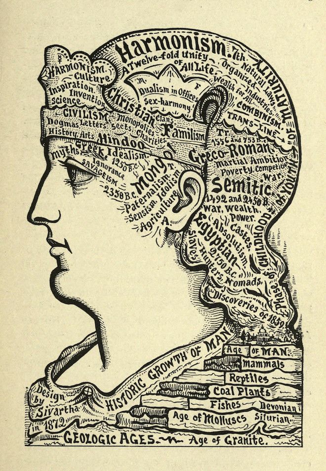 A detailed black and white illustration depicting a profile of a man's head and brain, filled with text and diagrams representing historical and geological concepts.