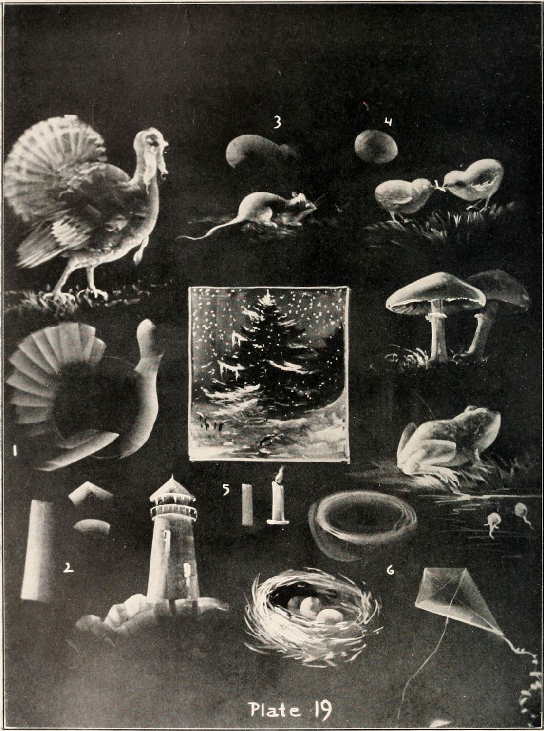 Vintage black and white illustration labeled 'Plate 19' featuring a collection of numbered objects including a turkey, mouse, mushrooms, lighthouse, nest, frog, snail, and kite.