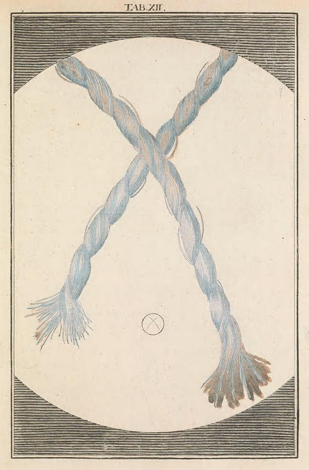 Antique illustration of two light blue braids crossing in the center, with a small circle at the intersection.