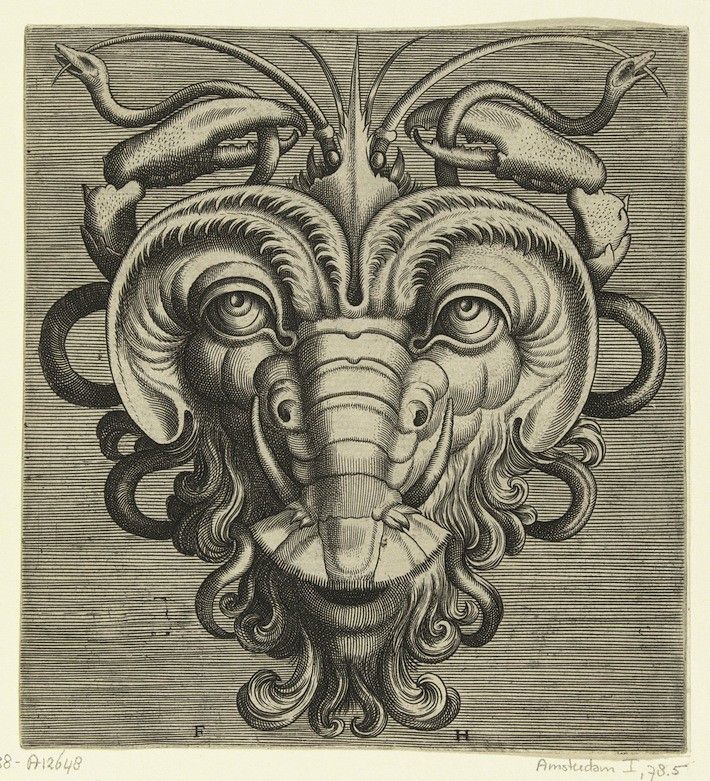 A detailed black and white engraving depicting a fantastical creature's head with snakes surrounding it.