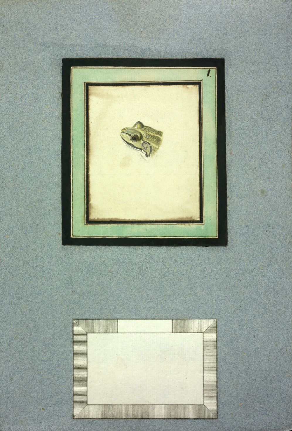 Vintage illustration of a frog's head in a series of nested frames on a textured blue-gray background.