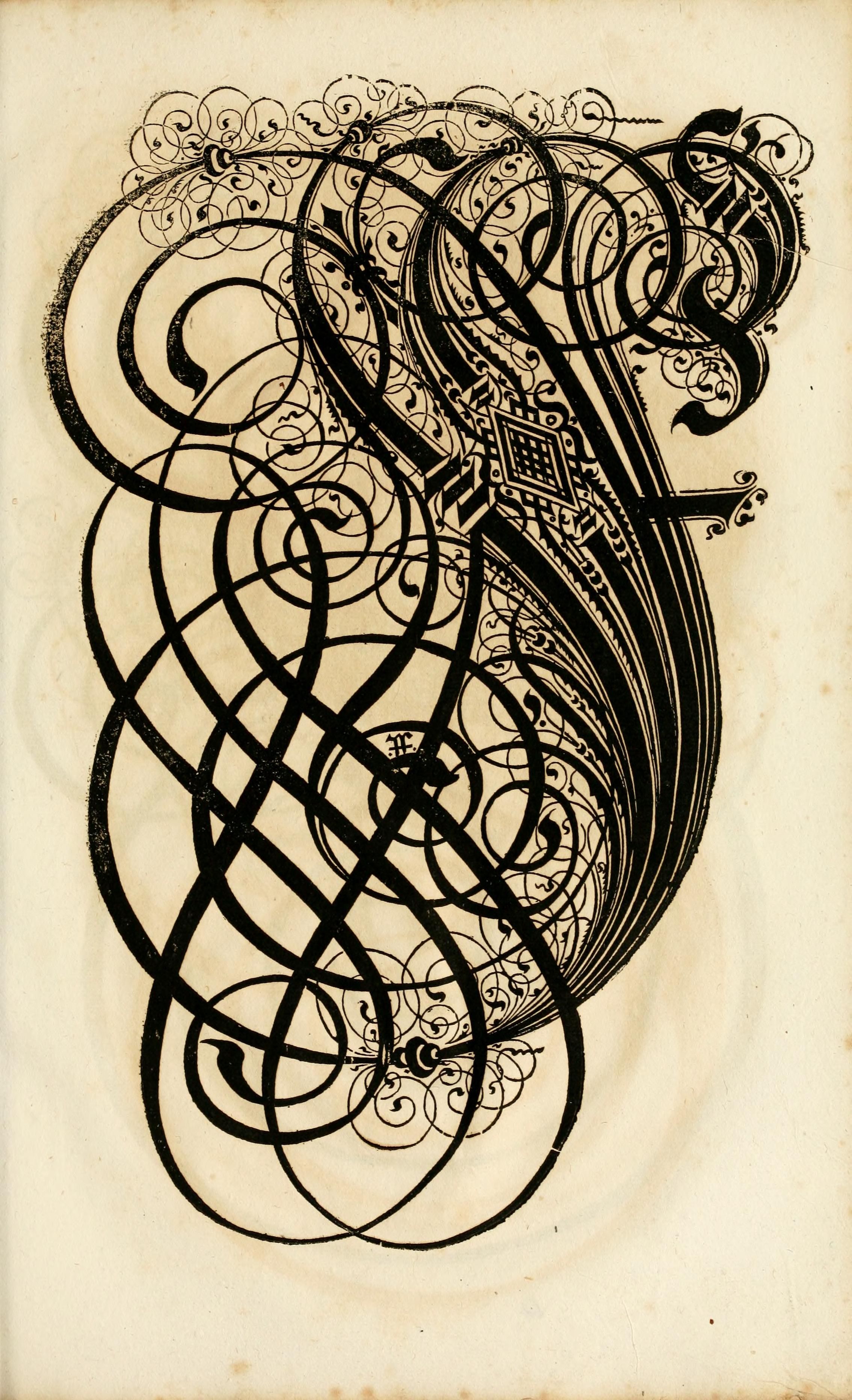 An ornate, calligraphic design featuring a stylized letter embellished with intricate swirls and floral motifs on a textured, aged paper background.