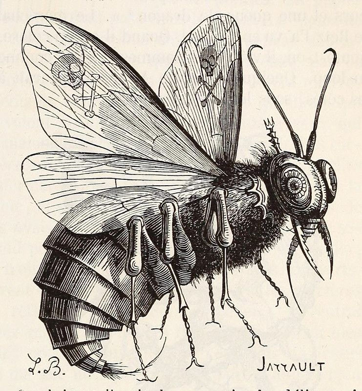 A detailed black and white illustration of a wasp-like insect with skulls and crossbones embedded in its wings.