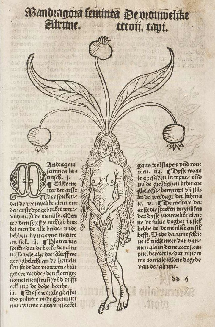 A black and white woodcut illustration of a nude, winged woman holding a flower, surrounded by dense, ornate text.