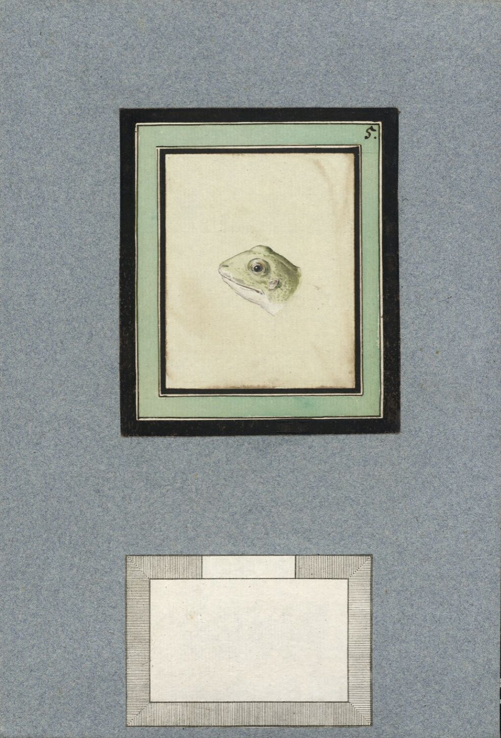 Vintage illustration of a frog's head in a nested frame, with an empty framed space below.