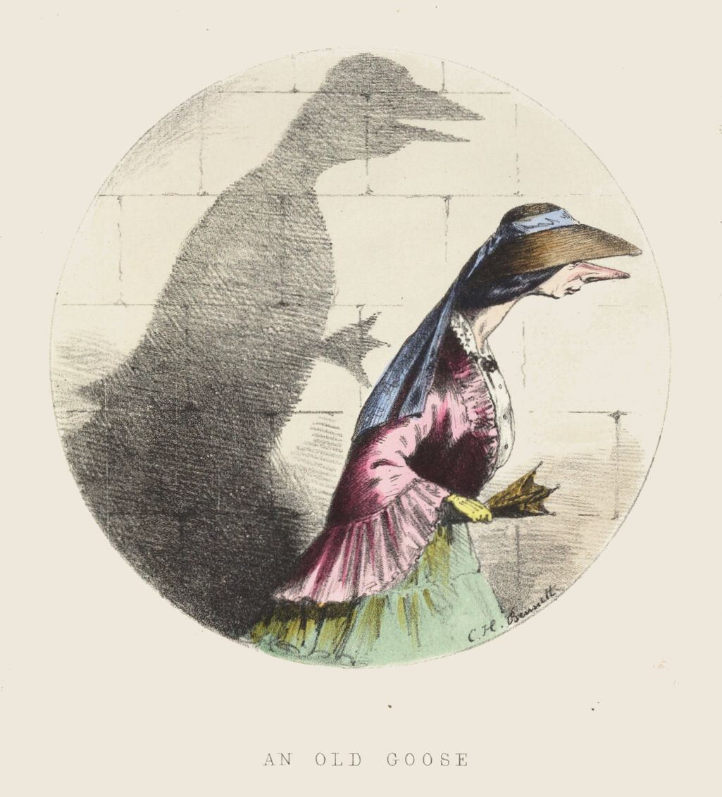 Vintage illustration of a goose with the body of an elderly woman, titled 'An Old Goose'.