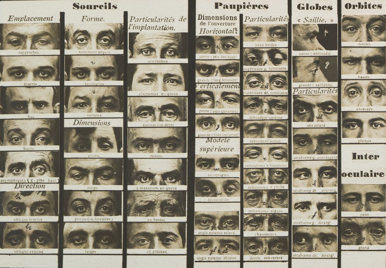 A grid of black and white illustrations depicting various eye and eyebrow characteristics, organized into columns labeled with French terms related to eye features.