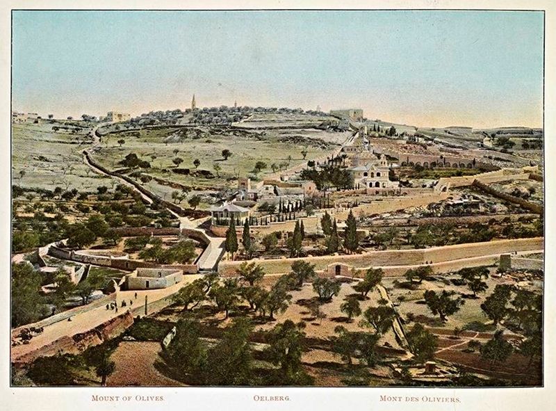 Vintage colorized photograph of the Mount of Olives, showing a hilly landscape with buildings, trees, and a city skyline in the background.