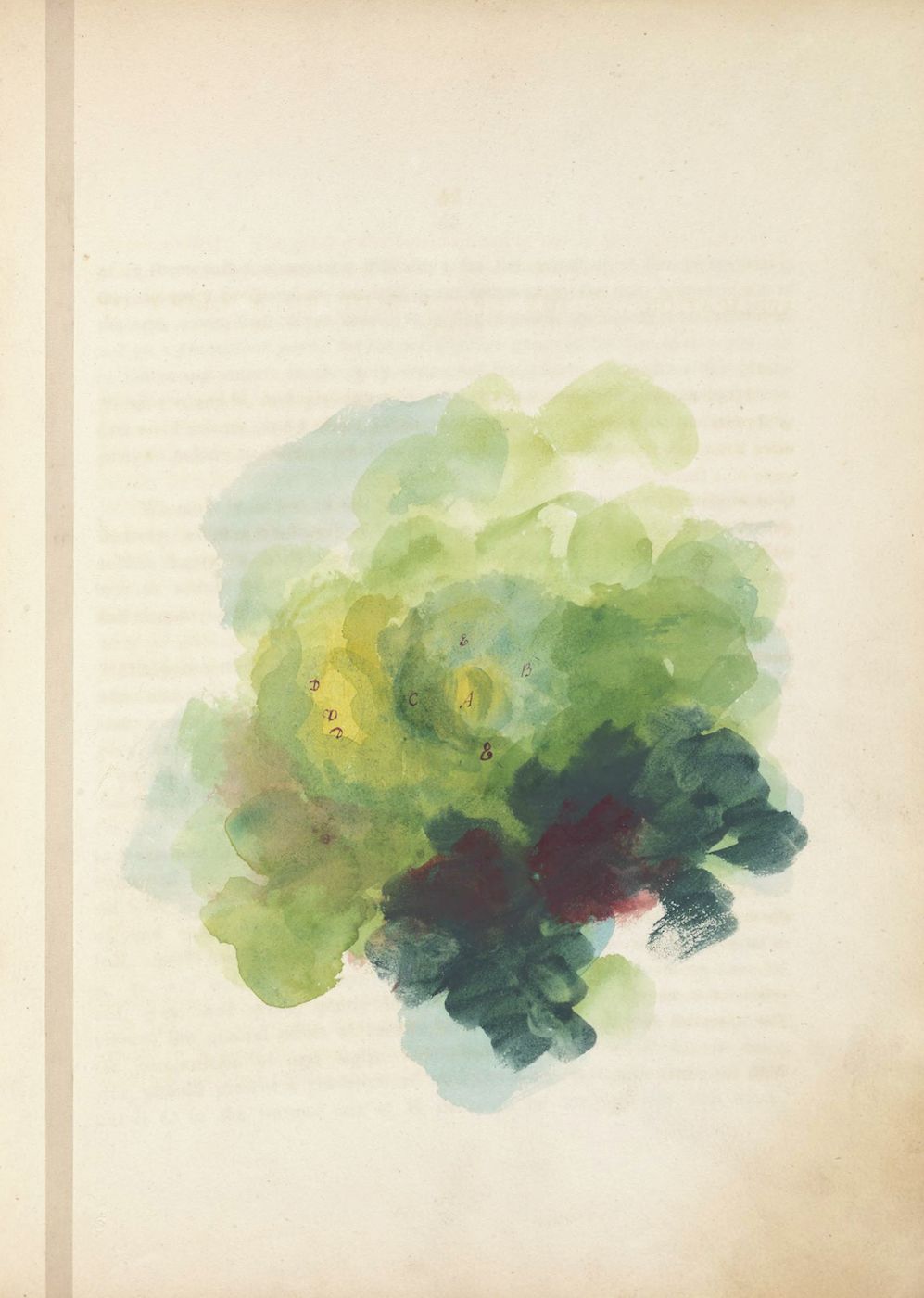 A vintage watercolor painting of a green cabbage with handwritten numbers and letters on a creamy beige background.