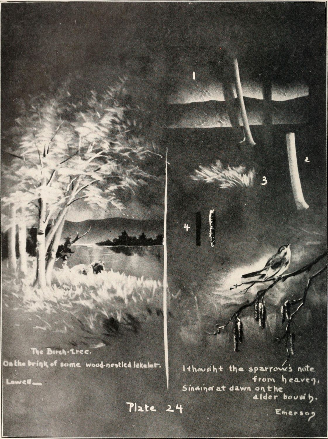 A vintage black and white illustration of a lakeside scene viewed through a window frame.