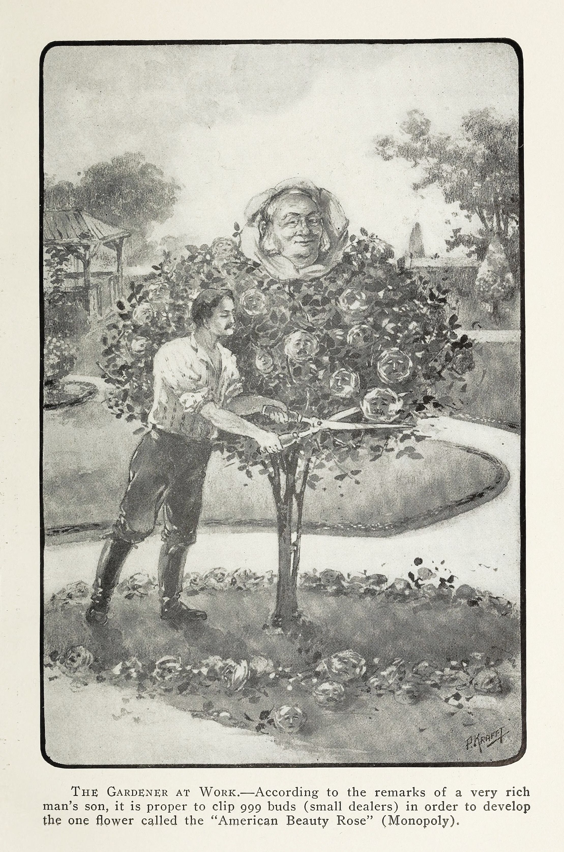 A black and white illustration of a gardener clipping rose buds from a bush, with text referencing wealth and power.