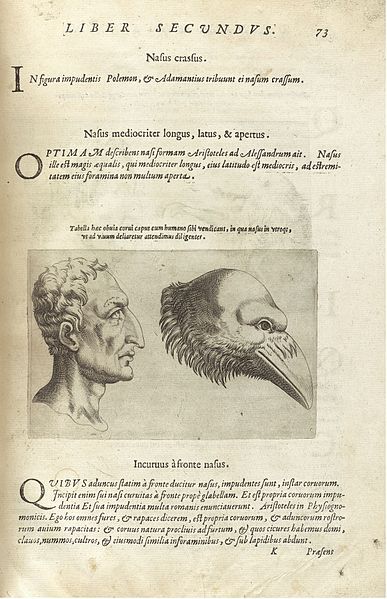 Vintage illustration of a human head with a beak-like nose and mouth, surrounded by Latin text.
