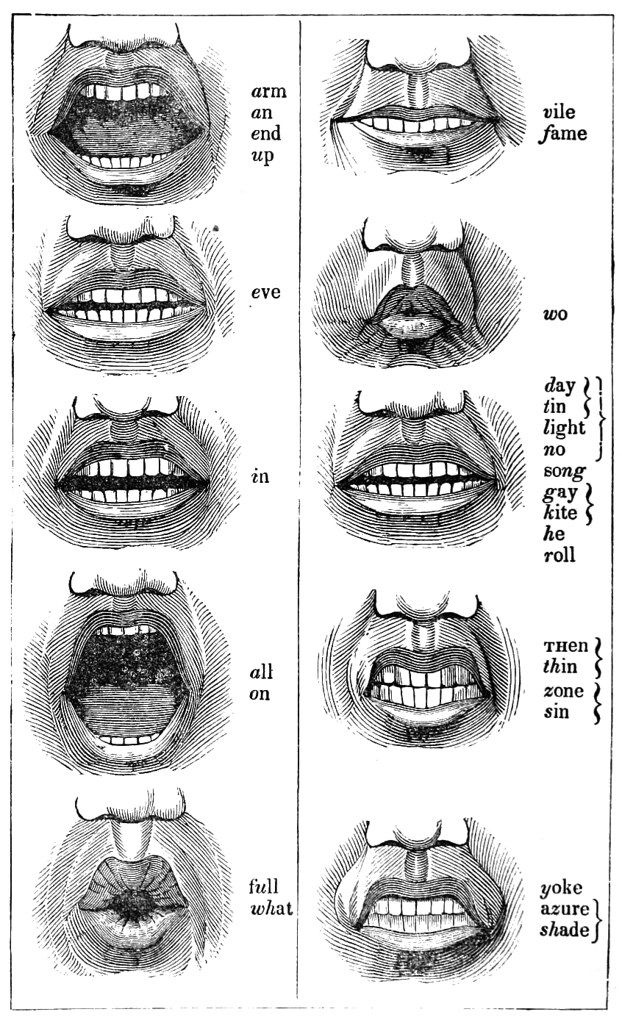 Vintage phonetic chart showing mouth positions for different sounds, with detailed illustrations of lips, teeth, and chin, and corresponding words next to each illustration.