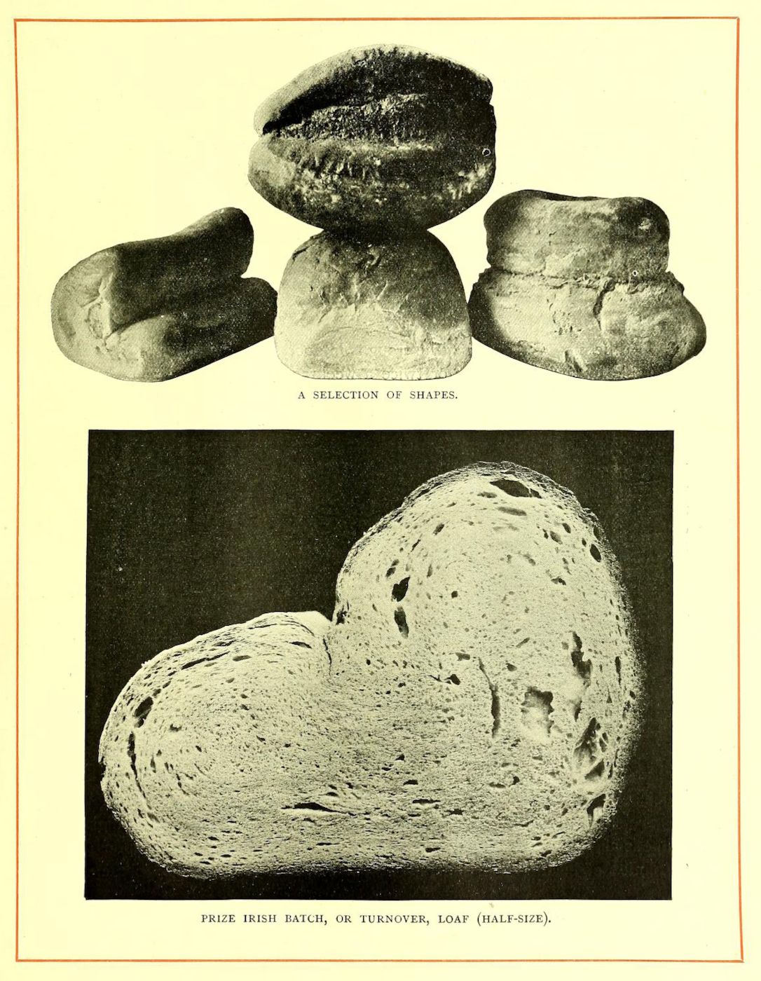 A vintage black and white photograph showcasing a selection of bread shapes, including a "Prize Irish Batch, or Turnover Loaf (Half-Size)."
