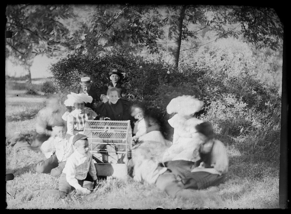 A vintage black and white photograph of a group of people having a picnic under trees.