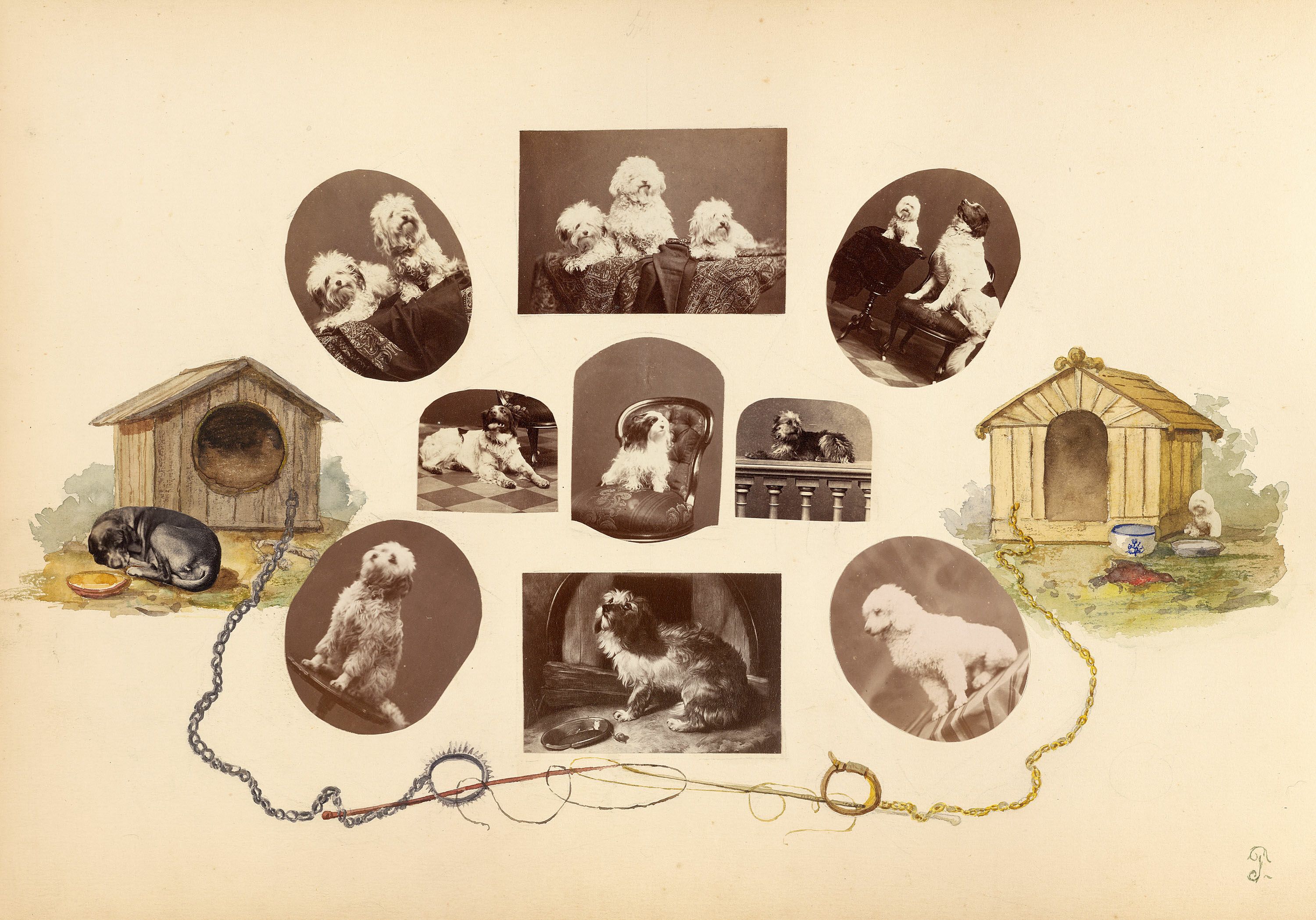 Vintage photograph of fluffy white dogs in oval frames connected by a chain, with dog houses on either side.
