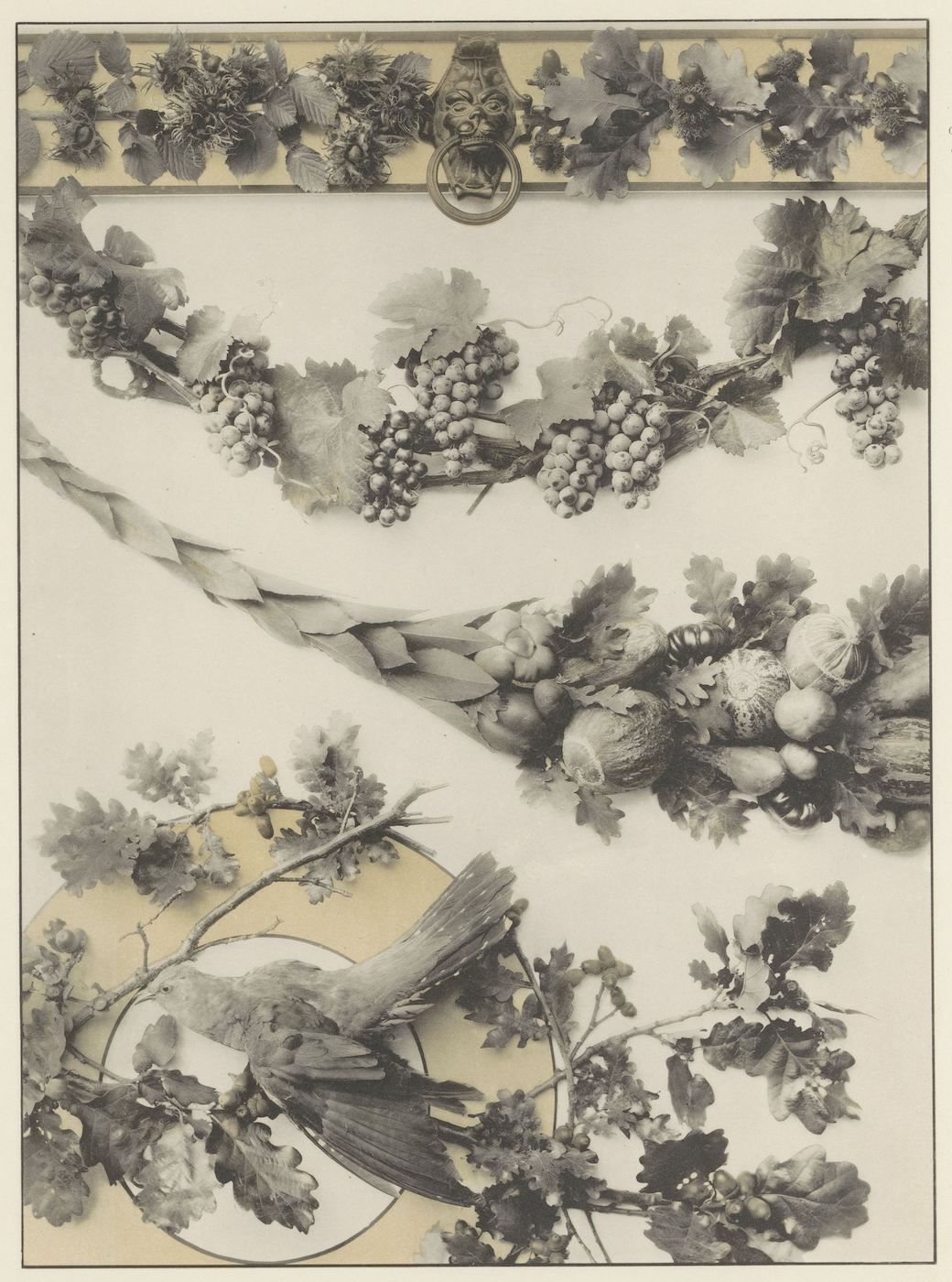 A vintage illustration sheet featuring decorative arrangements of vines, grapes, walnuts, and a bird, with symmetrical designs and intricate details.
