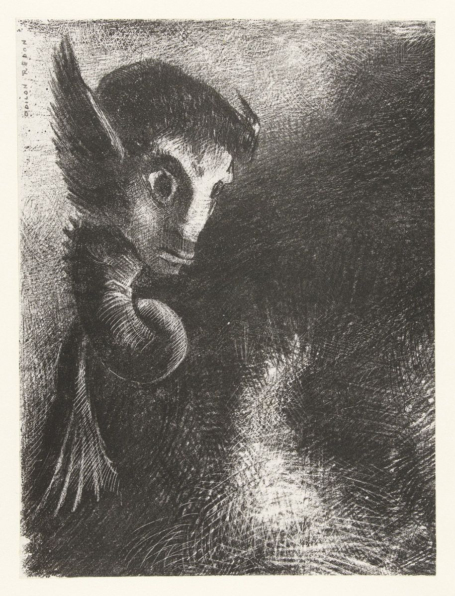 A black and white drawing of an owl perched on a branch, with a dark, starry background.