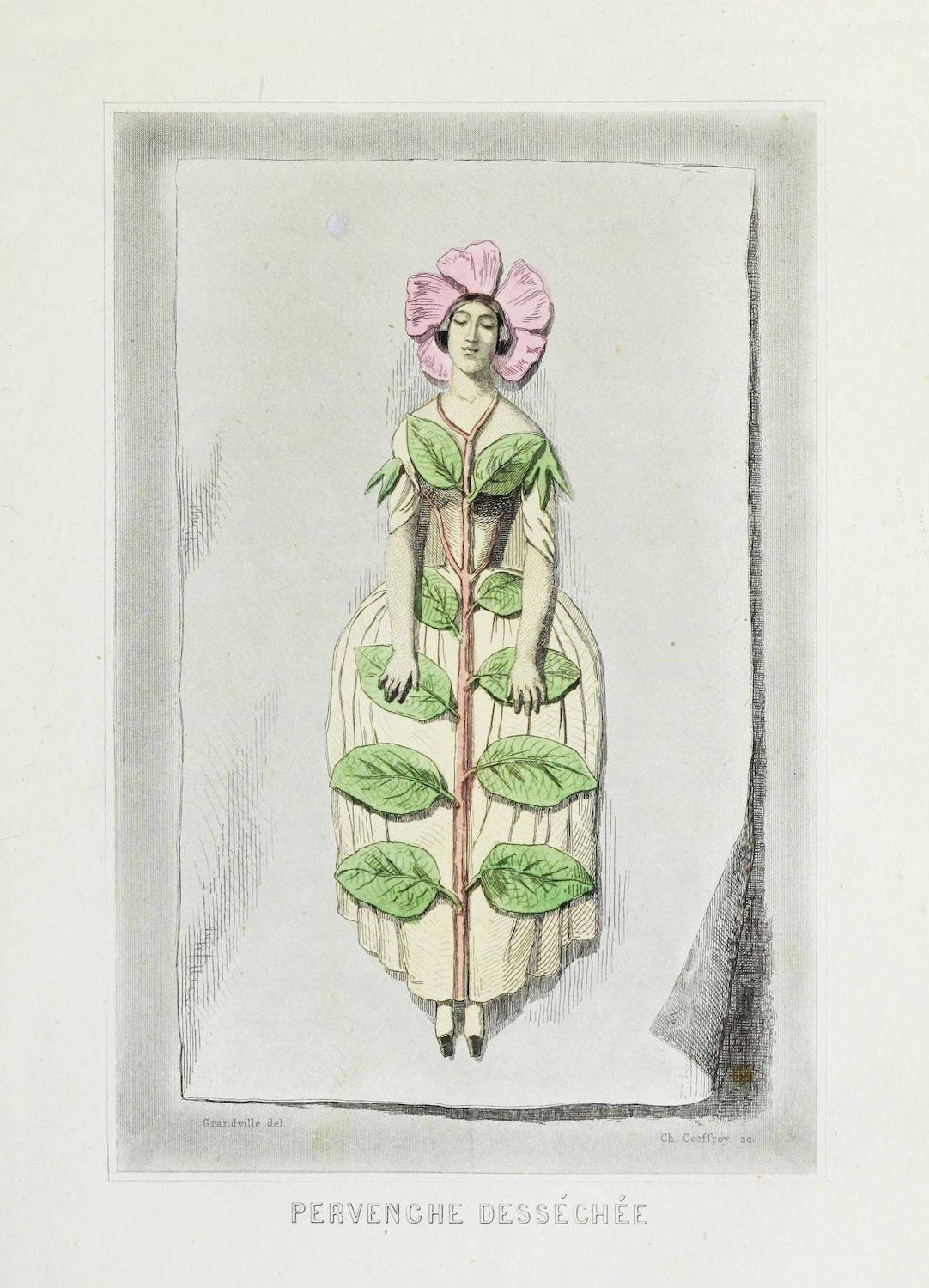 A vintage illustration of a woman dressed as a periwinkle flower.