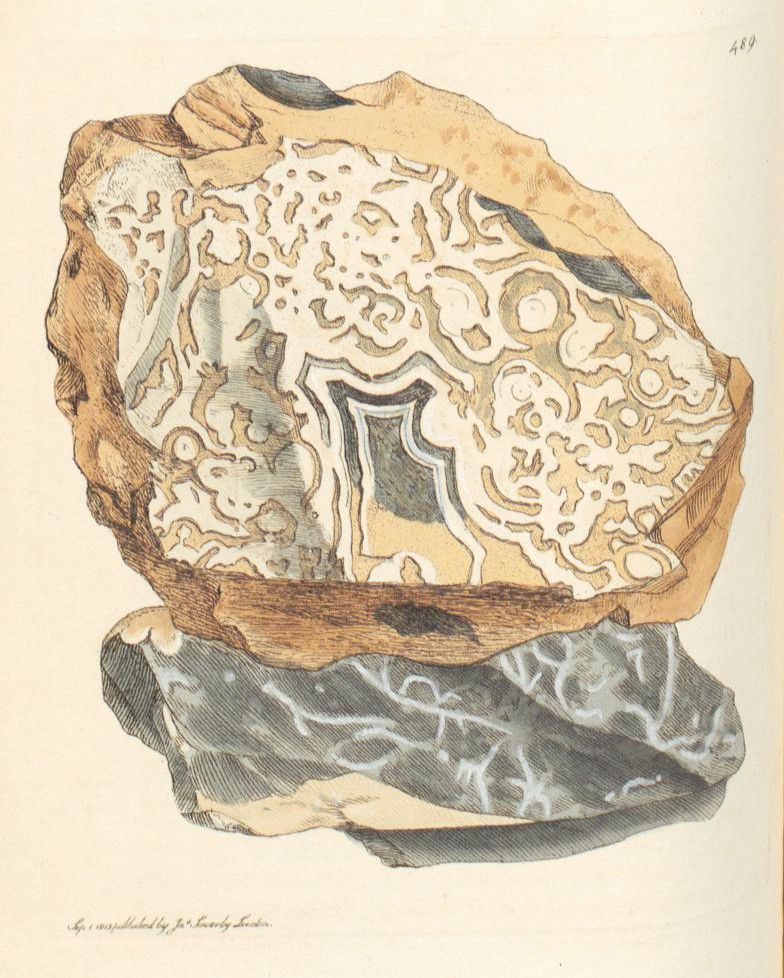 A detailed watercolor and ink illustration of a geode with a complex interior structure, resting on a textured rock base.