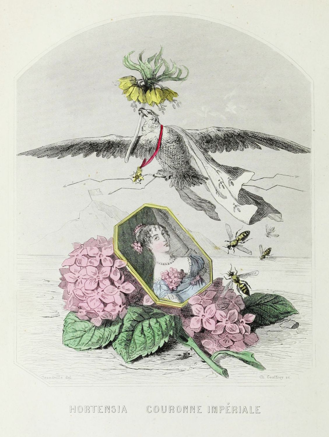 Vintage illustration of a bird with a human face perched above a portrait of a woman surrounded by hydrangeas and bees.