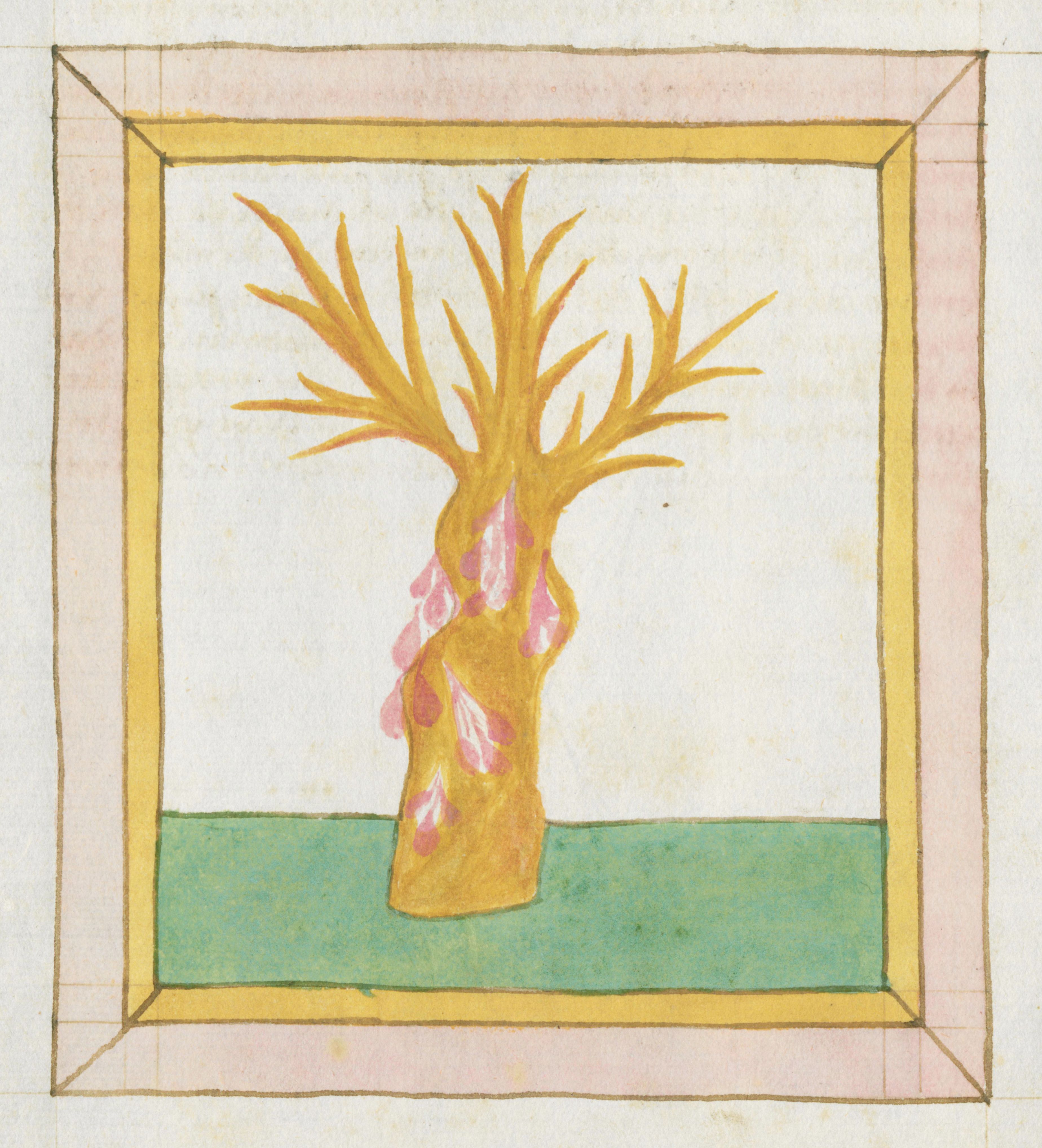 A square illustration of a stylized tree within a decorative frame.