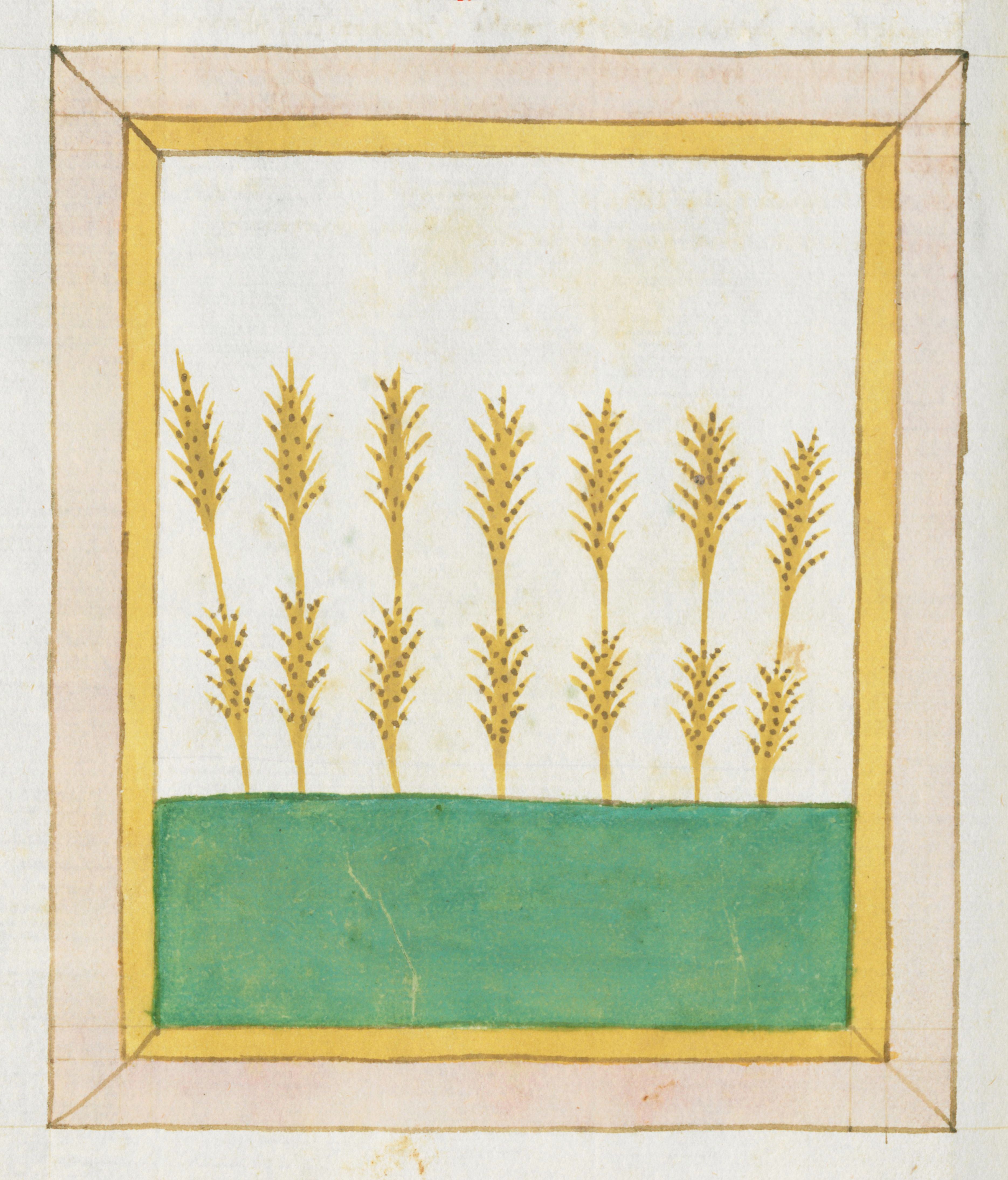 Medieval illustration of a field of wheat within a rectangular frame.