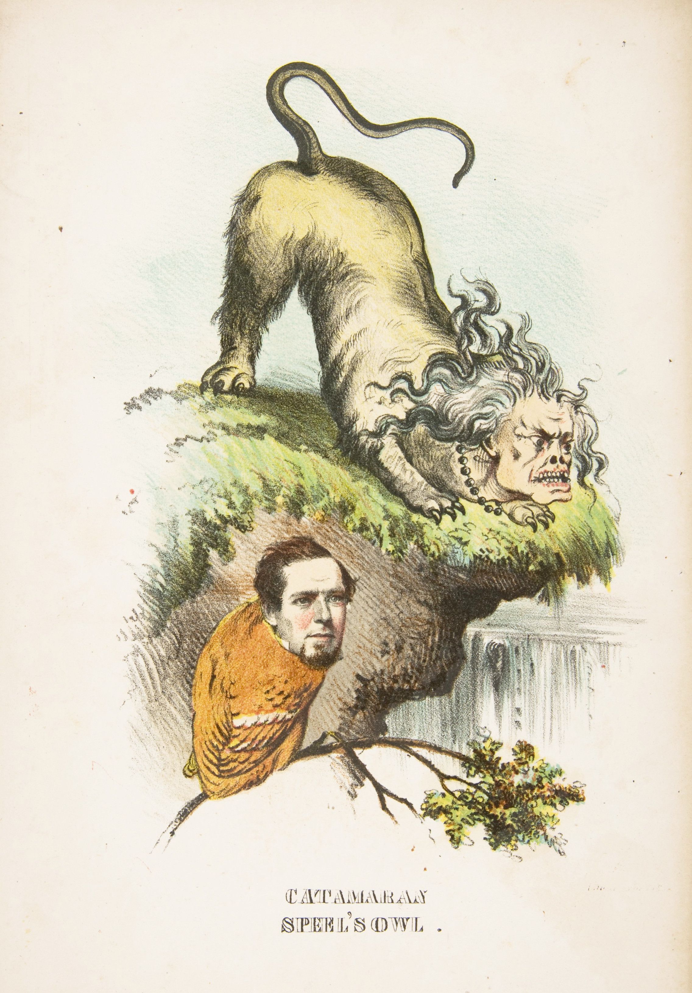 A vintage political cartoon titled 'Catamaran Peel's Owl' depicting a lion-owl hybrid perched on a hill with a man in an orange coat on a tree branch.