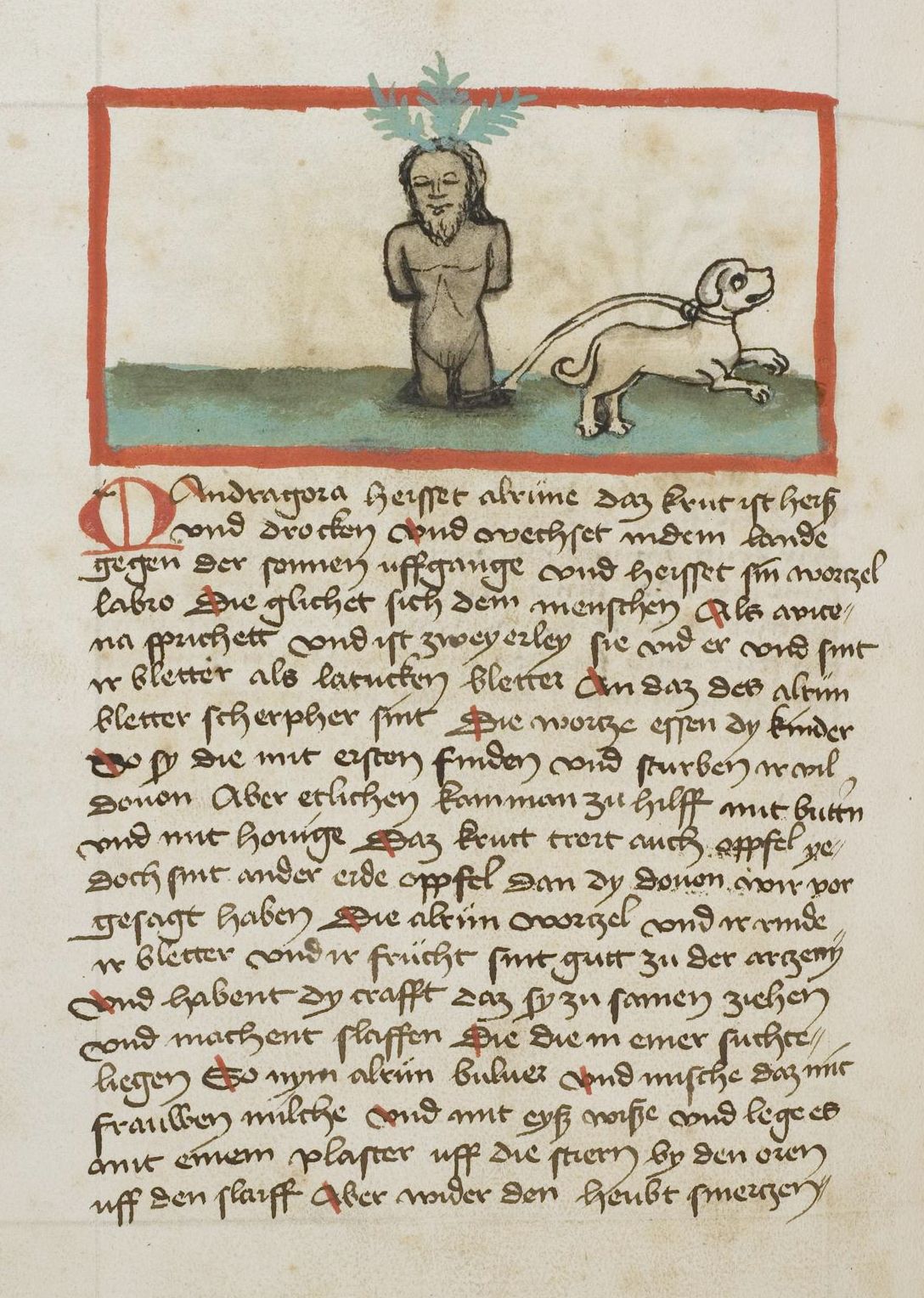 A page from a medieval manuscript with an illustration of a man and an animal.