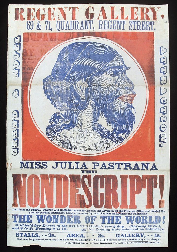 A vintage poster advertising Miss Julia Pastrana, described as a “Wonder of the World.” The poster features a portrait of Miss Pastrana, a woman with significant facial hair, within a decorative oval frame. The poster is predominantly red, white, and blue, and includes information about her performances at the Regent Gallery.
